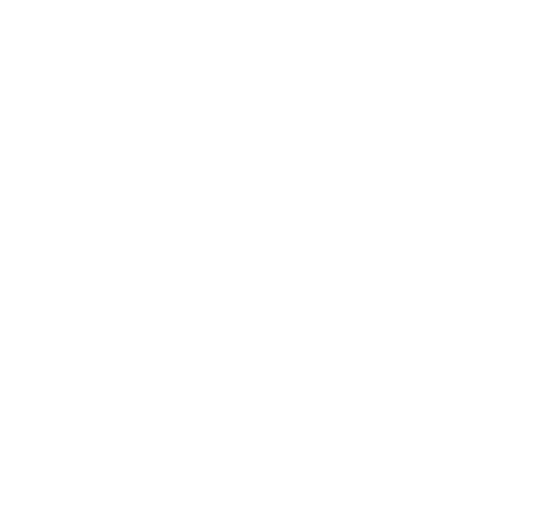 Vice Marine